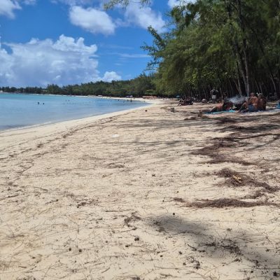 Ile Maurice Mont Choisi в марте — фото погоды (2026-03-11)
