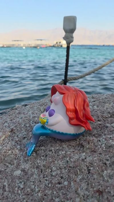 Dolphin Reef - Eilat в октябре — фото погоды (2025-10-29)