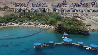 Dolphin Reef - Eilat в июле — фото погоды (2026-07-15)