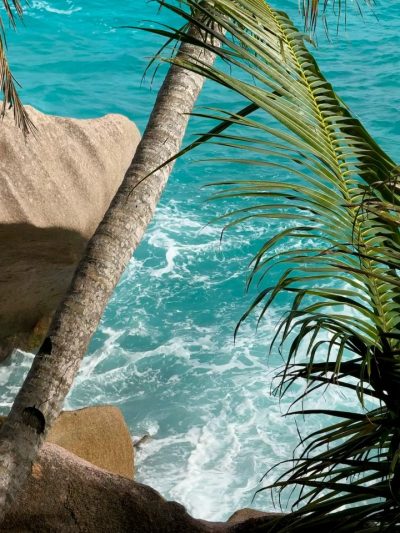 Anse Patates в январе — фото погоды (2026-01-28)