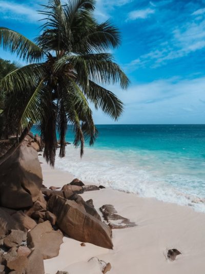 Anse Patates в феврале — фото погоды (2026-02-03)