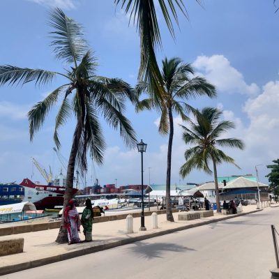 Stonetown-Zanzibar в марте — фото погоды (2026-03-30)