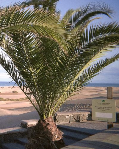 Playa del Inglés в мае — фото погоды (2026-05-03)