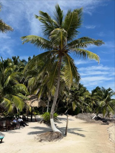 San Pedro Island , Belize в марте — фото погоды (2026-03-29)