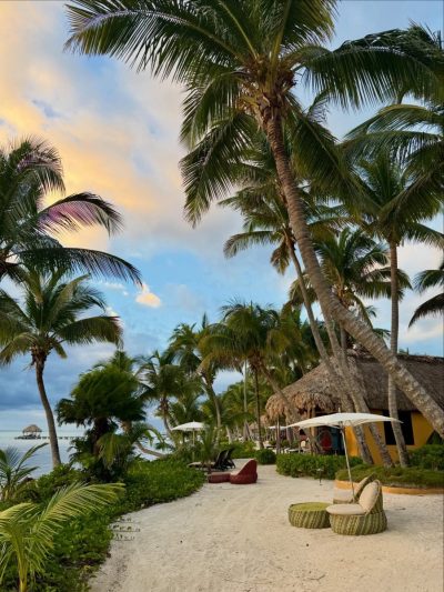 San Pedro Island , Belize в апреле — фото погоды (2026-04-19)