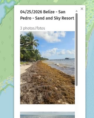 San Pedro Island , Belize в апреле — фото погоды (2026-04-25)
