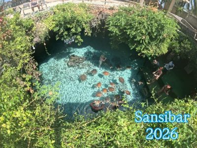 Zanzibar Island в июне — фото погоды (2026-06-04)