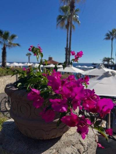 Pueblo Bonito Golf & Spa Resorts — фото погоды в декабре (2025-12-18)