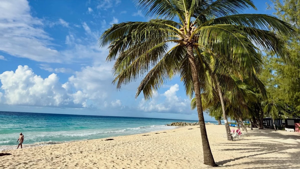 Погода в Dover Beach, Barbados