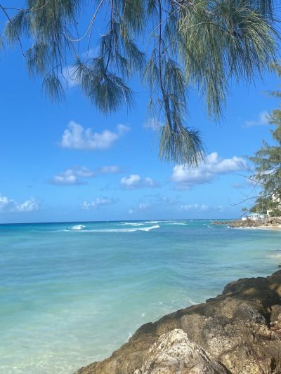 Dover Beach, Barbados в декабре — фото погоды (2025-12-30)