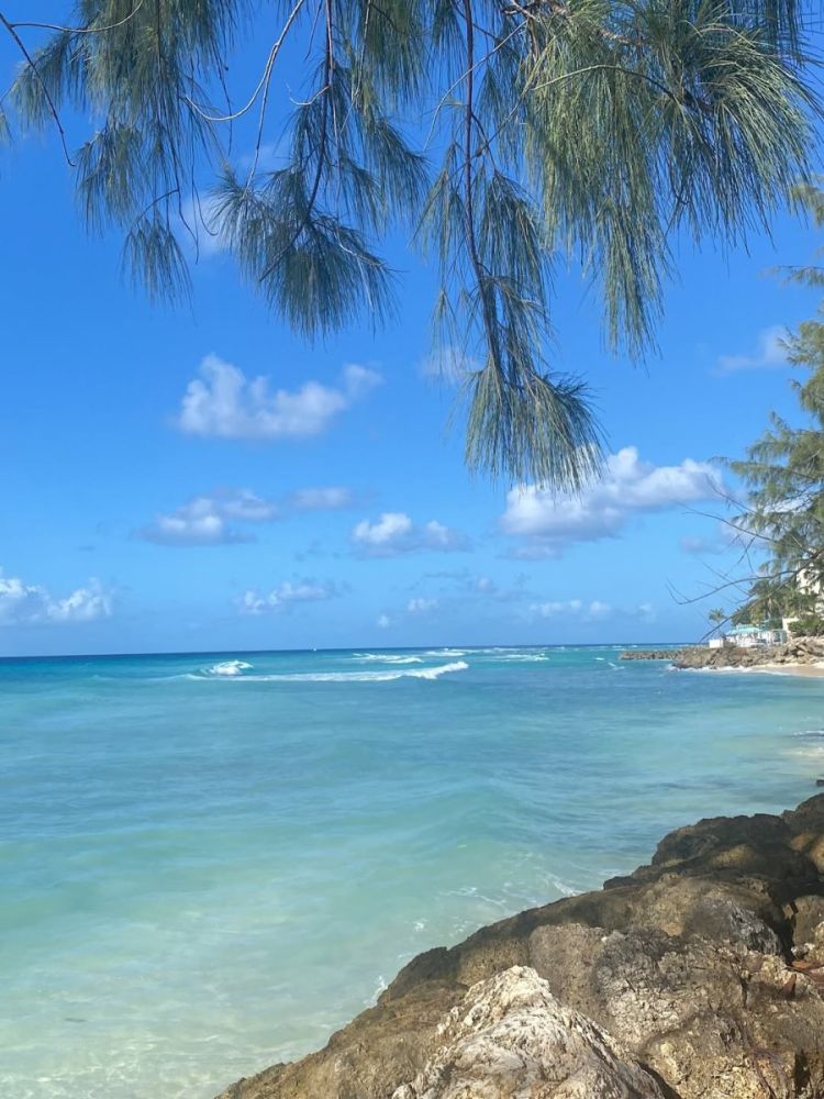 Погода в Dover Beach, Barbados