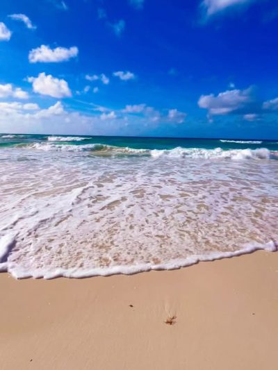 Dover Beach, Barbados в марте — фото погоды (2026-03-20)