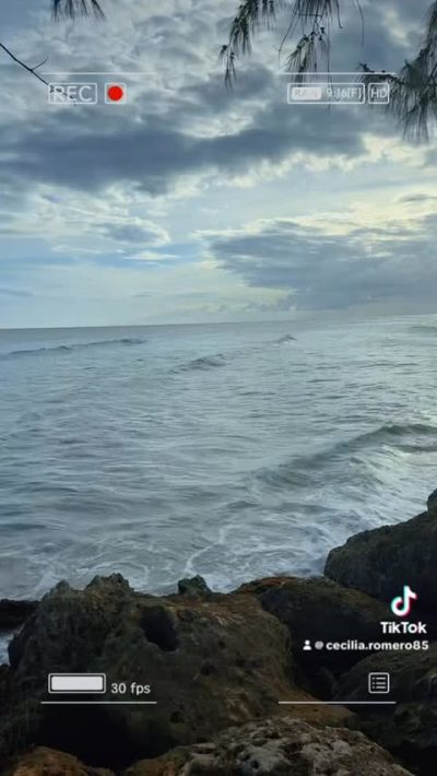Dover Beach, Barbados в апреле — фото погоды (2026-04-23)