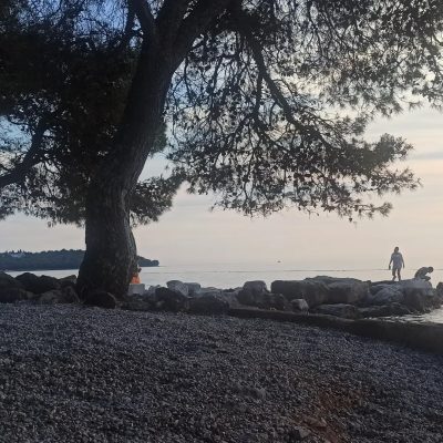 Valamar Camping Lanterna — фото погоды в июне (2026-06-30)