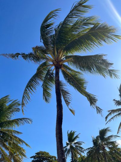 Nusa Dua Beach в июне — фото погоды (2026-06-28)