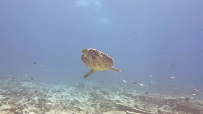 Addu Atoll в декабре — фото погоды (2025-12-27)