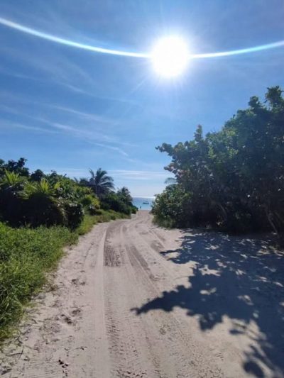 Tulum Quintana Roo México в ноябре — фото погоды (2025-11-03)