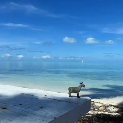 Half Moon Caye, Belize в ноябре — фото погоды (2025-11-11)