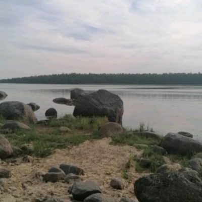 Выборгский залив в июле — фото погоды (2025-07-24)