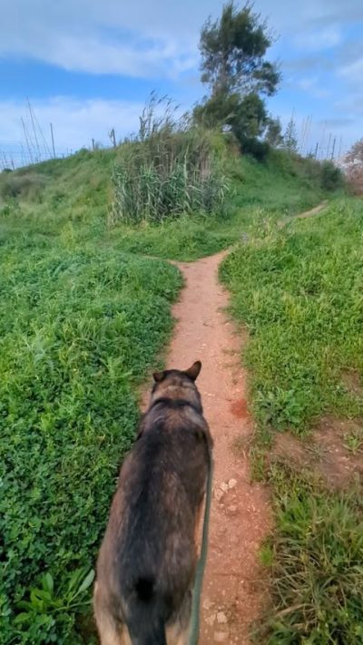Meia Praia Lagos Algarve в марте — фото погоды (2026-03-20)