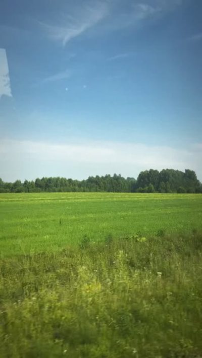 Тверская Область. Торжок. в июле — фото погоды (2026-07-20)