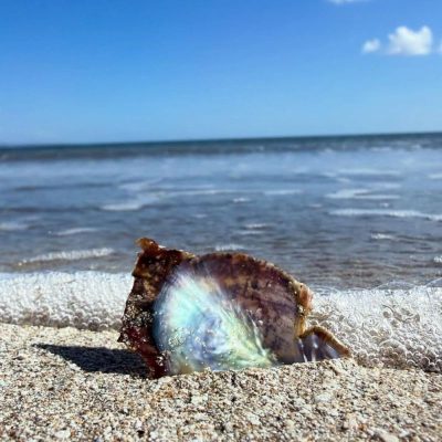 Lady's Mile Beach в феврале — фото погоды (2026-02-22)