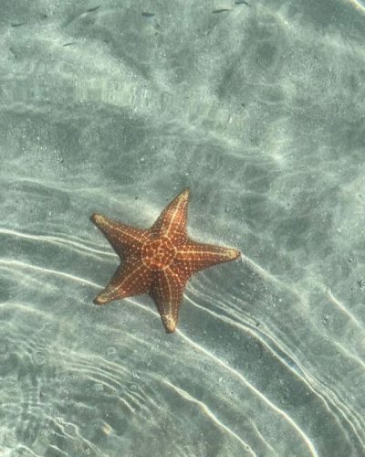 Red Frog Beach в феврале — фото погоды (2025-02-27)