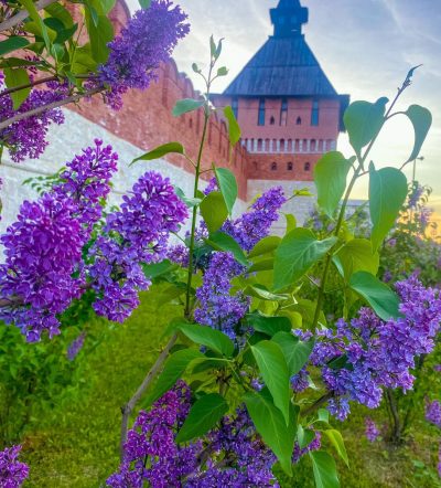 Город Тула в июне — фото погоды (2026-06-03)