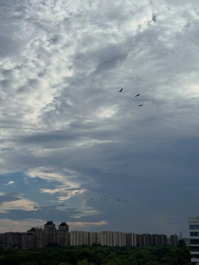 Zhejiang University в июле — фото погоды (2026-07-04)