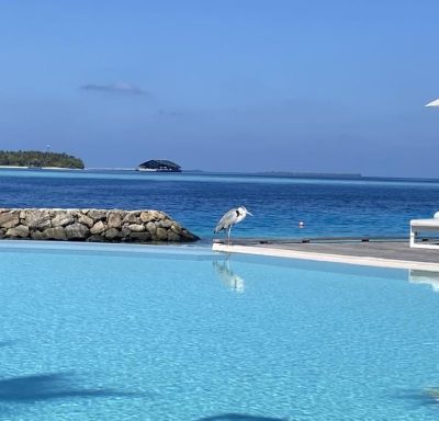 Komandoo Island Resort — фото погоды в марте (2026-03-27)
