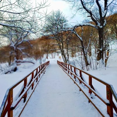 Природный культурный останец Лягушка (п. Весточка) в январе — фото погоды (2026-01-27)
