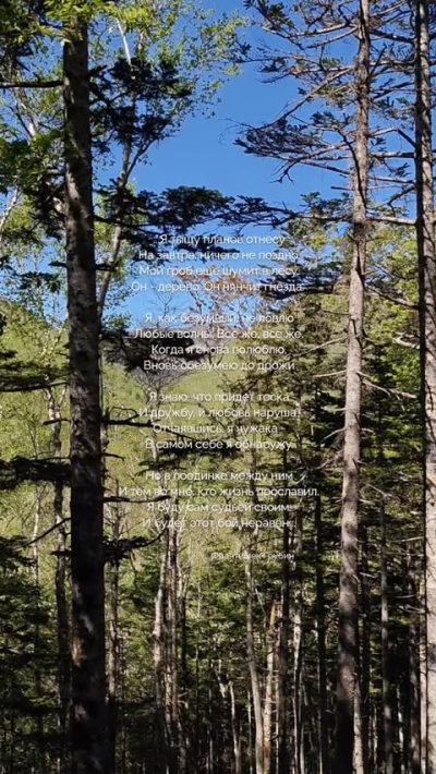 Природный культурный останец Лягушка (п. Весточка) в мае — фото погоды (2026-05-31)