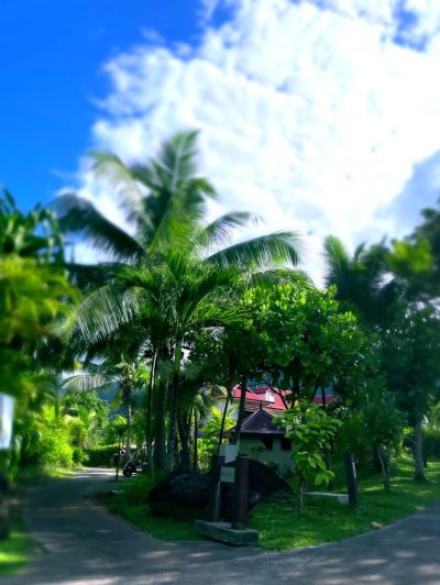 Ile de Mahé, Seychelles в декабре — фото погоды (2025-12-15)