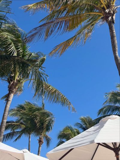 Akumal, Mexico в апреле — фото погоды (2026-04-09)