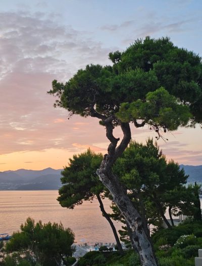 Lopud Island, Croatia в июле — фото погоды (2026-07-09)