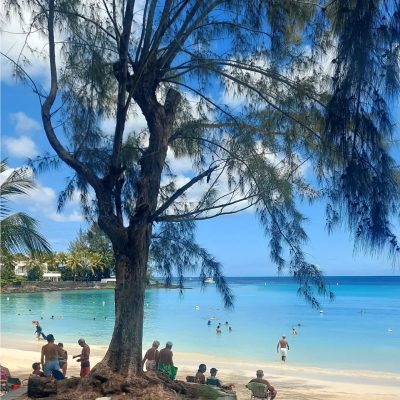 Plage de Pereybere - Ile Maurice в феврале — фото погоды (2026-02-14)