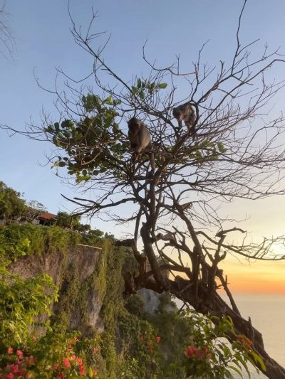 Pura Uluwatu в апреле — фото погоды (2026-04-19)