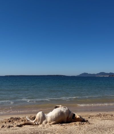 Plage de Juan-les-Pins в апреле — фото погоды (2026-04-18)