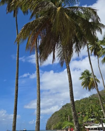 Marigot Bay Beach в январе — фото погоды (2026-01-29)