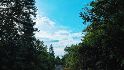 Đỉnh Hải Vân Quan в мае — фото погоды (2026-05-18)