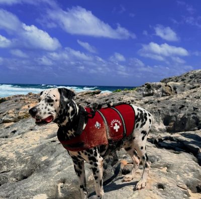 Isla de Cozumel, Mexico в феврале — фото погоды (2026-02-27)