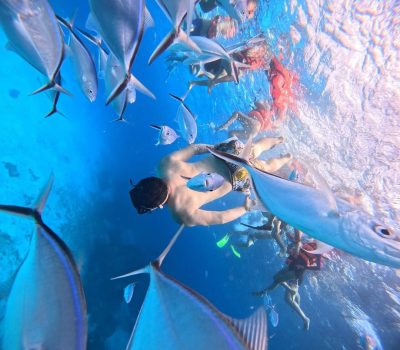 Isla de Cozumel, Mexico в марте — фото погоды (2026-03-07)