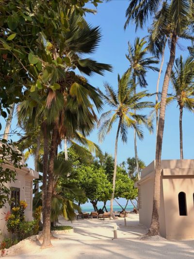 Mapenzi Beach - Zanzibar в январе — фото погоды (2026-01-21)