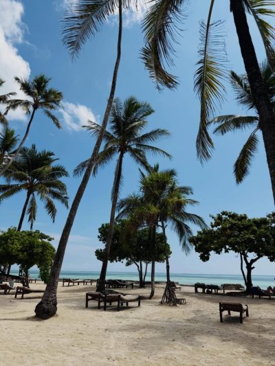 Mapenzi Beach - Zanzibar в феврале — фото погоды (2026-02-26)