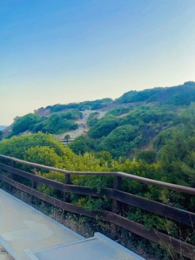 Praia da Coelha, Albufeira, Algarve - Portugal в июле — фото погоды (2026-07-11)