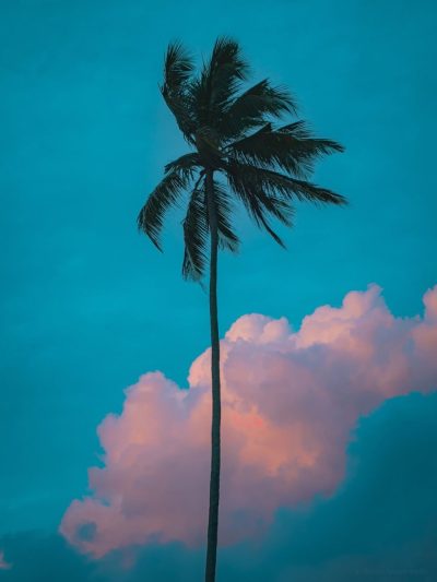 Wadduwa Beach. Sri Lanka в октябре — фото погоды (2025-10-31)
