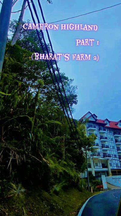 Bharat Tea Cameron Valley в ноябре — фото погоды (2025-11-07)