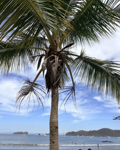 Playa El Coco, Costa Rica в январе — фото погоды (2026-01-08)