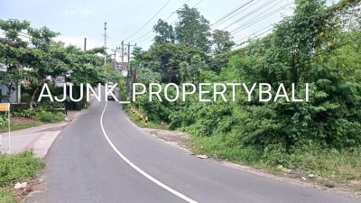 Jalan toyaning -ungasan в феврале — фото погоды (2026-02-25)
