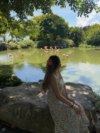 Vinpearl Resort Nha Trang в июне — фото погоды (2026-06-26)